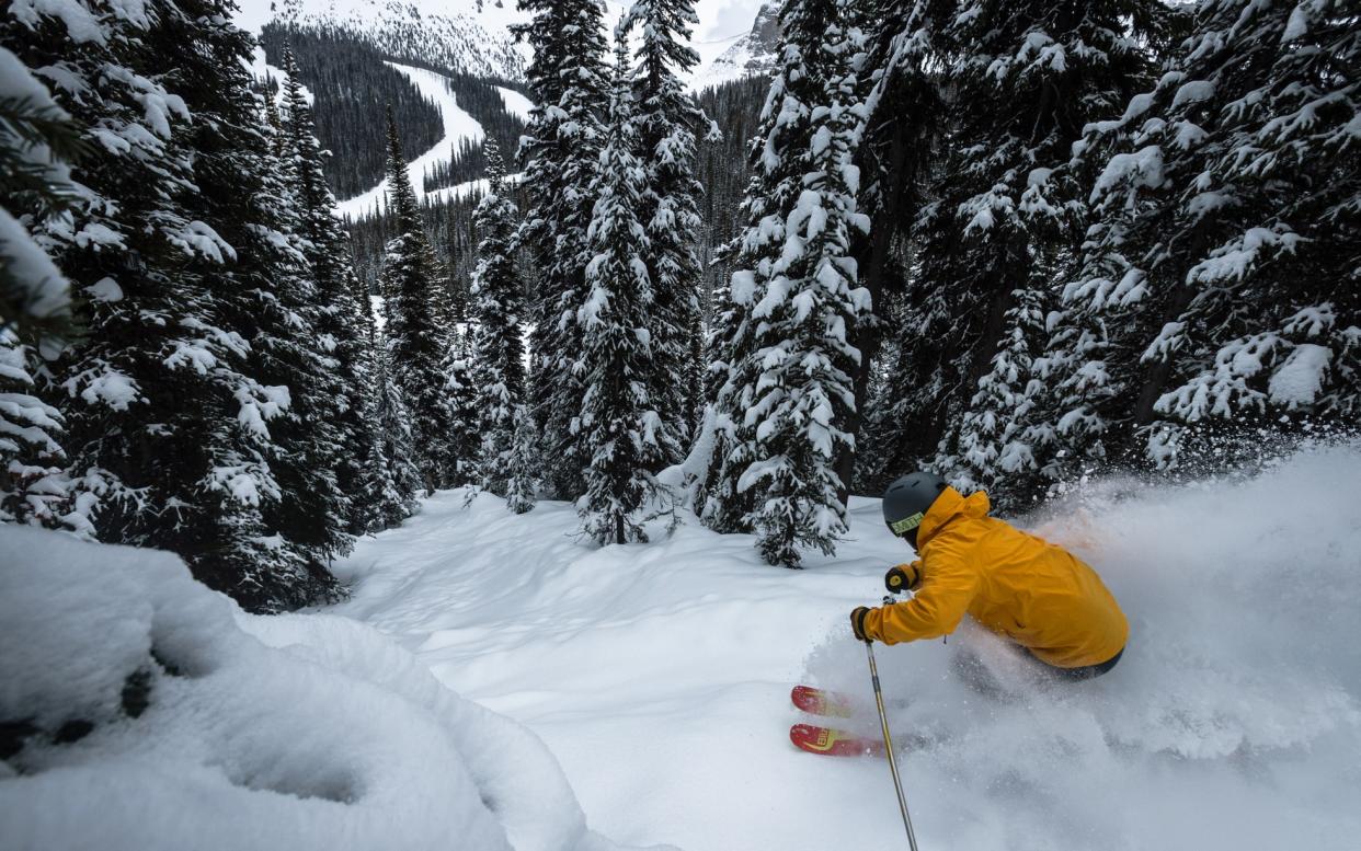 Banff offers three ski areas to explore - reuben krabbe/Banff Lake Louise Tourism