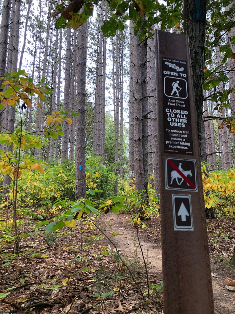 The North Country Trail passes through Yankee Springs Township in Michigan. The Quiet Adventures Symposium at Michigan State University will include a talk on hiking this multi-state trail.