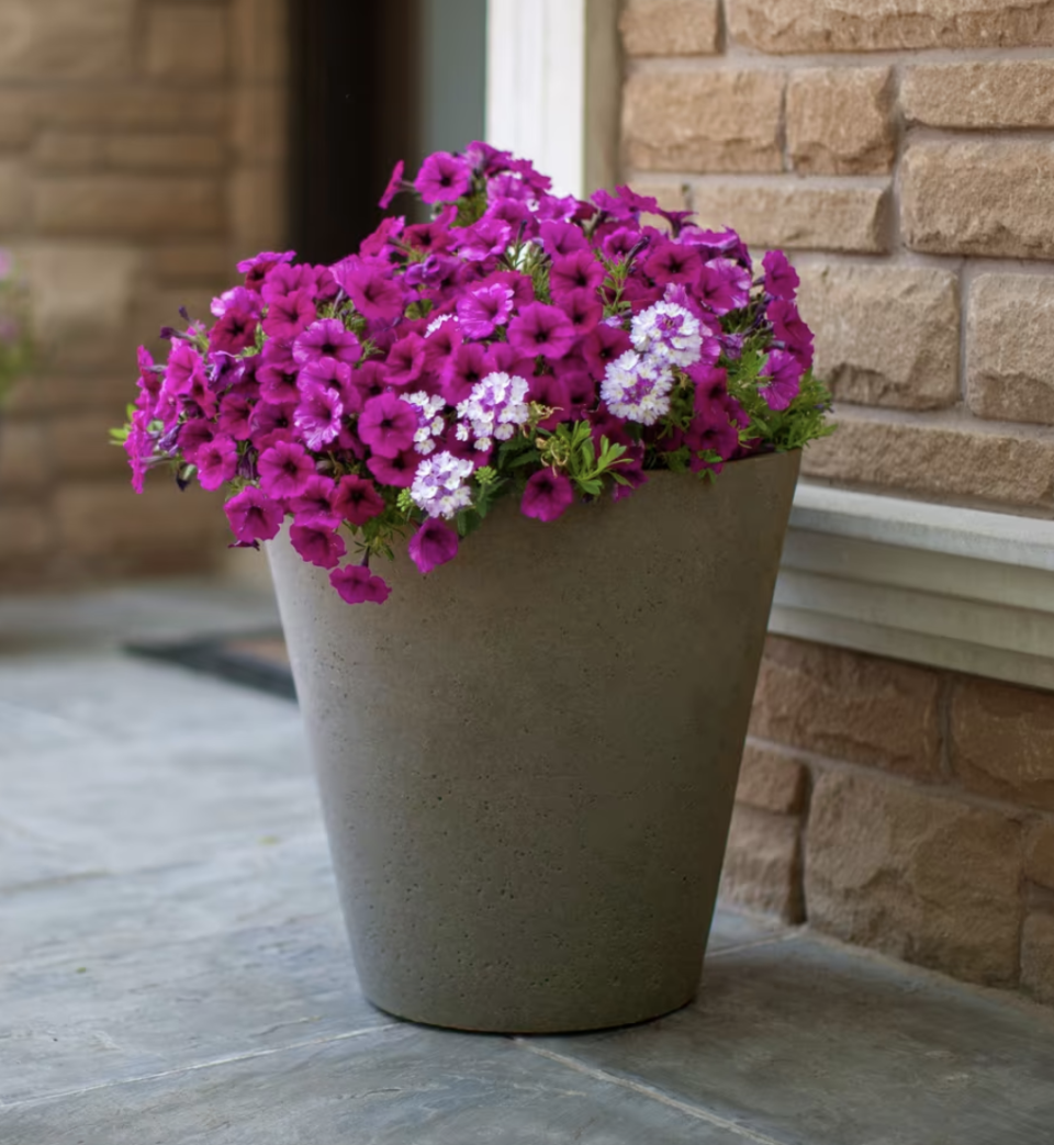 Algreen Products Self Watering Crete Round Planter (Photo via Canadian Tire)