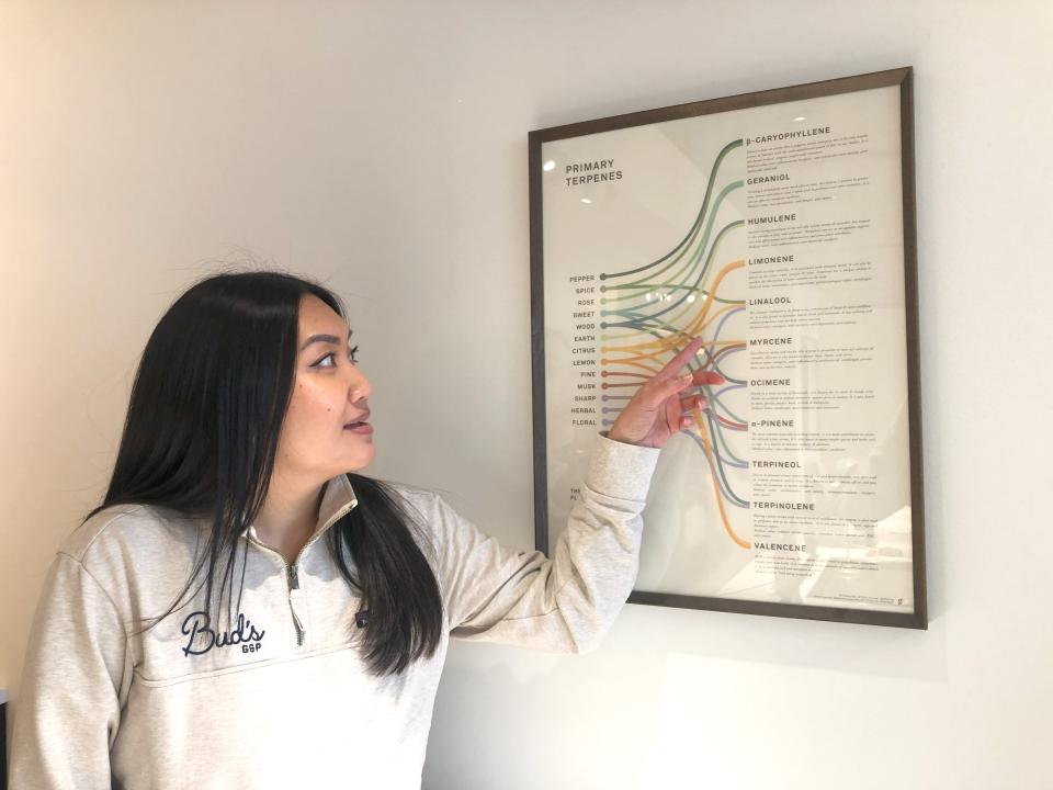 Jennifer Ngo points out common terpenes found in cannabis at Buds Goods Provisions In Worcester.