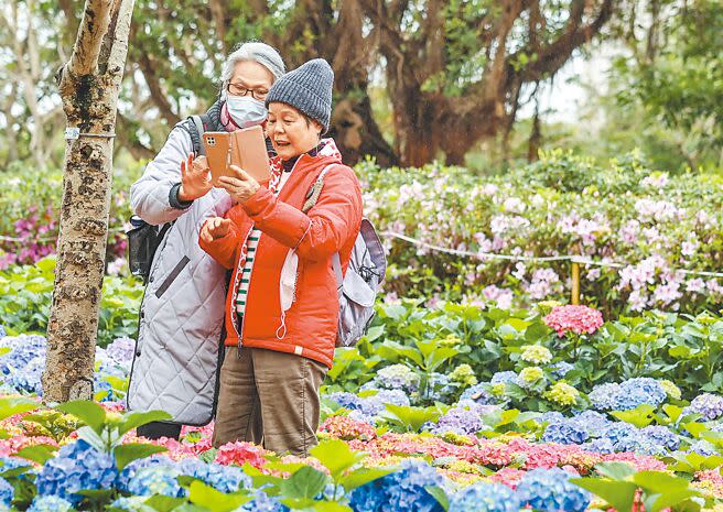 台北杜鵑花季1日於大安森林公園露天音樂台舉辦花展記者會，為期1個月的花季正式展開，不少民眾前來賞花並拍照留念。（粘耿豪攝）