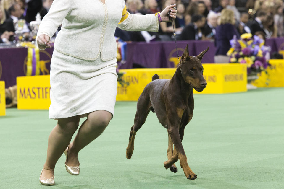 (AP Photo/Mary Altaffer)