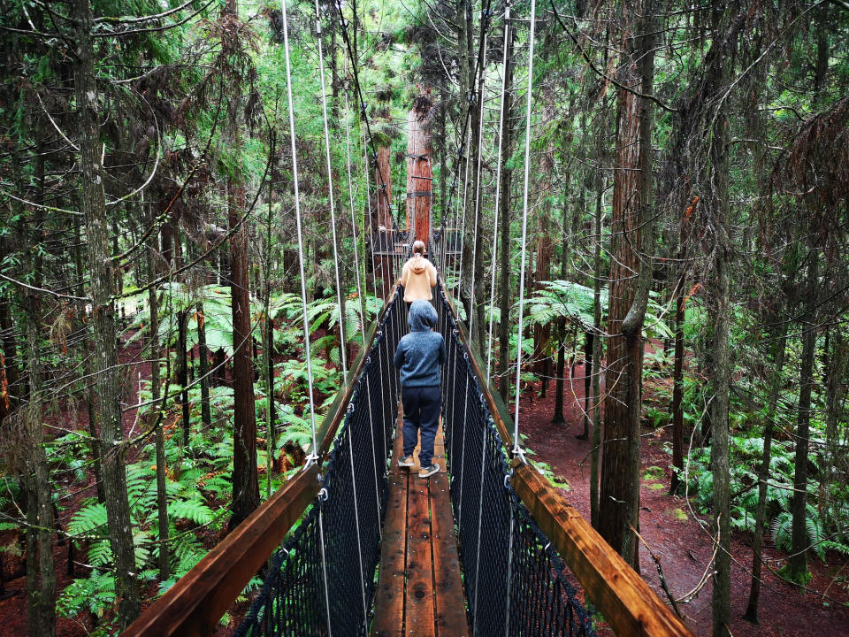 Pictured are two people walking across a footbridge in a Rotorua forest. 