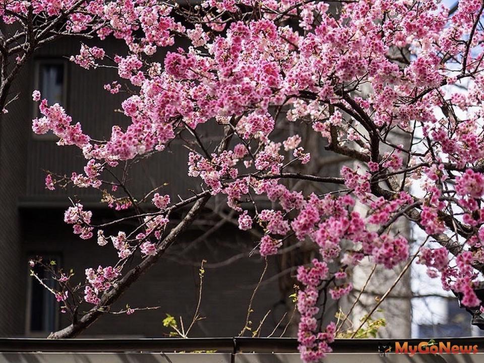 ▲「璞園袖里春」附近街道的寧靜氛圍，讓真下宗治想到日本的巷弄。(圖/業者提供)