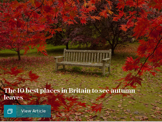 The 10 best places in Britain to see autumn leaves