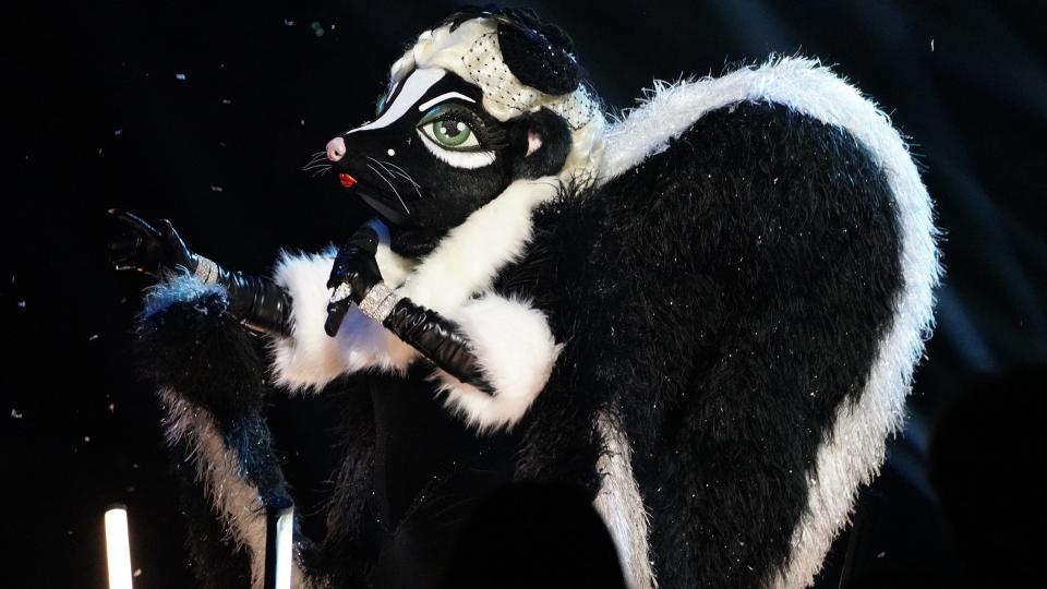 Skunk, “The Masked Singer”