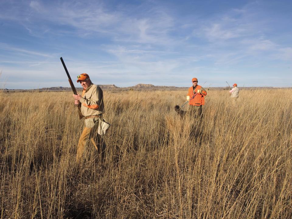 mesa vista ranch