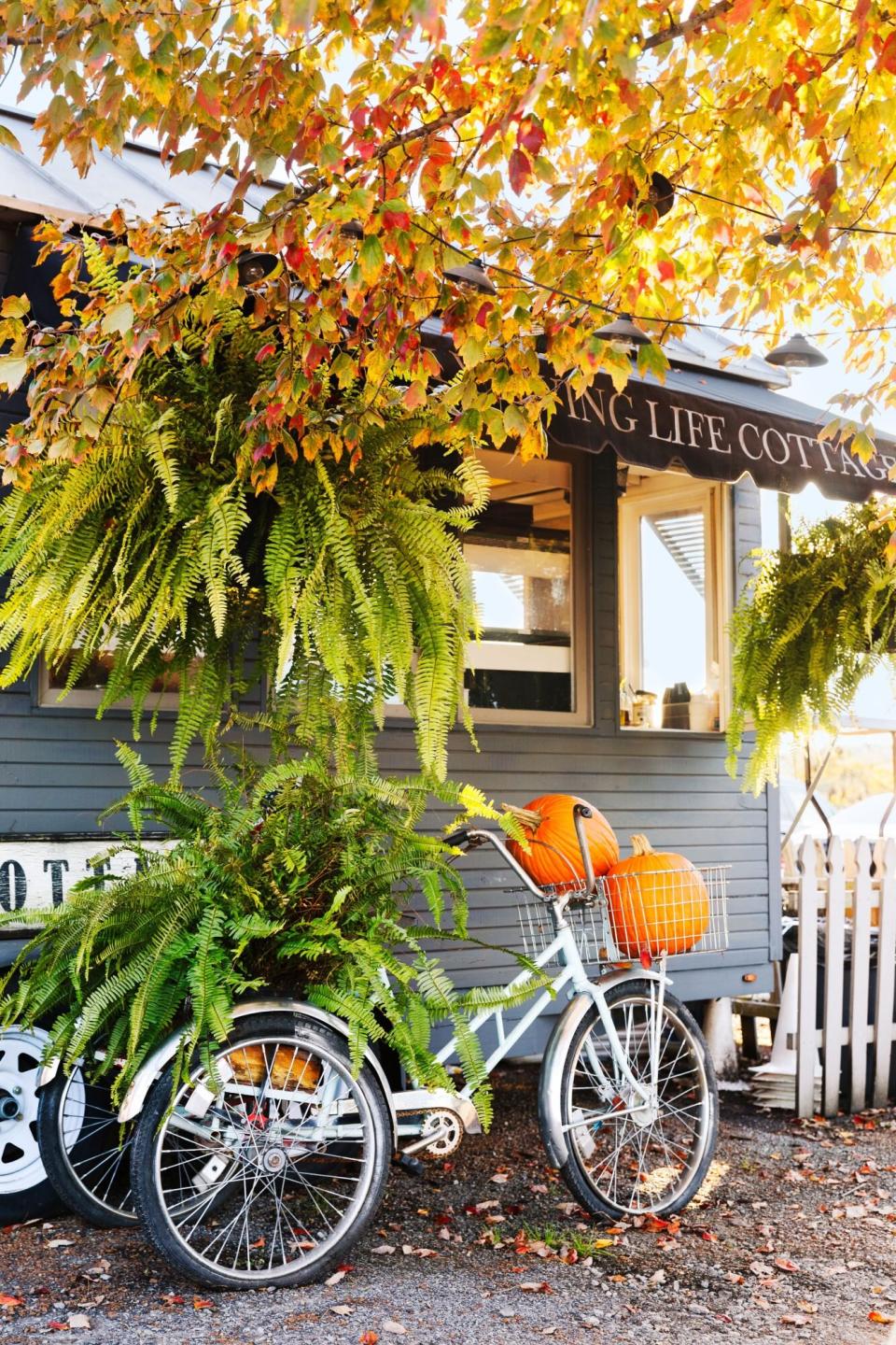 Bicycles with pumpkins in their baskets leaning against a food stand