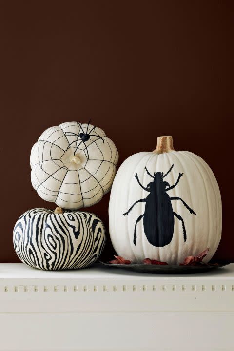 <p>For a <a href="http://www.housebeautiful.com/entertaining/holidays-celebrations/g2554/halloween-decorations/" rel="nofollow noopener" target="_blank" data-ylk="slk:super chic Halloween display;elm:context_link;itc:0;sec:content-canvas" class="link ">super chic Halloween display</a>, skip the orange and opt for white pumpkins. Use the template to trace a bug specimen or sketch out a creepy silhouette of your own. </p><p>Get the tutorial at <a href="http://www.countryliving.com/diy-crafts/how-to/a3032/pumpkin-painting-1009/" rel="nofollow noopener" target="_blank" data-ylk="slk:Country Living;elm:context_link;itc:0;sec:content-canvas" class="link "><em>Country Living</em></a>.</p>