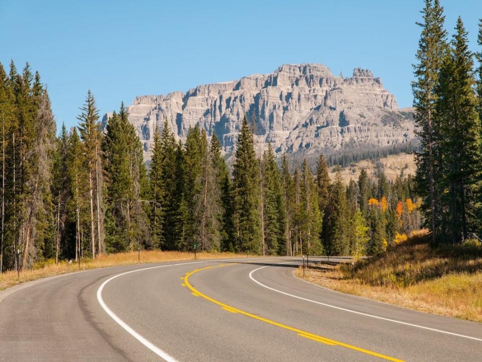 a highway in Wyoming flanked by trees and a mountain in the background