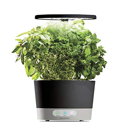 AeroGarden Harvest 360 (Amazon / Amazon)