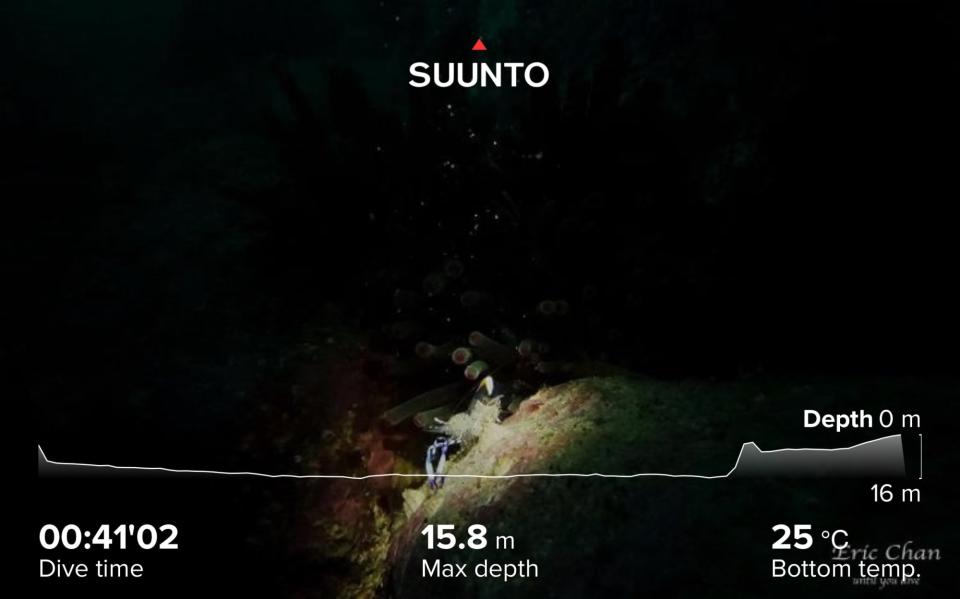 Suunto D5