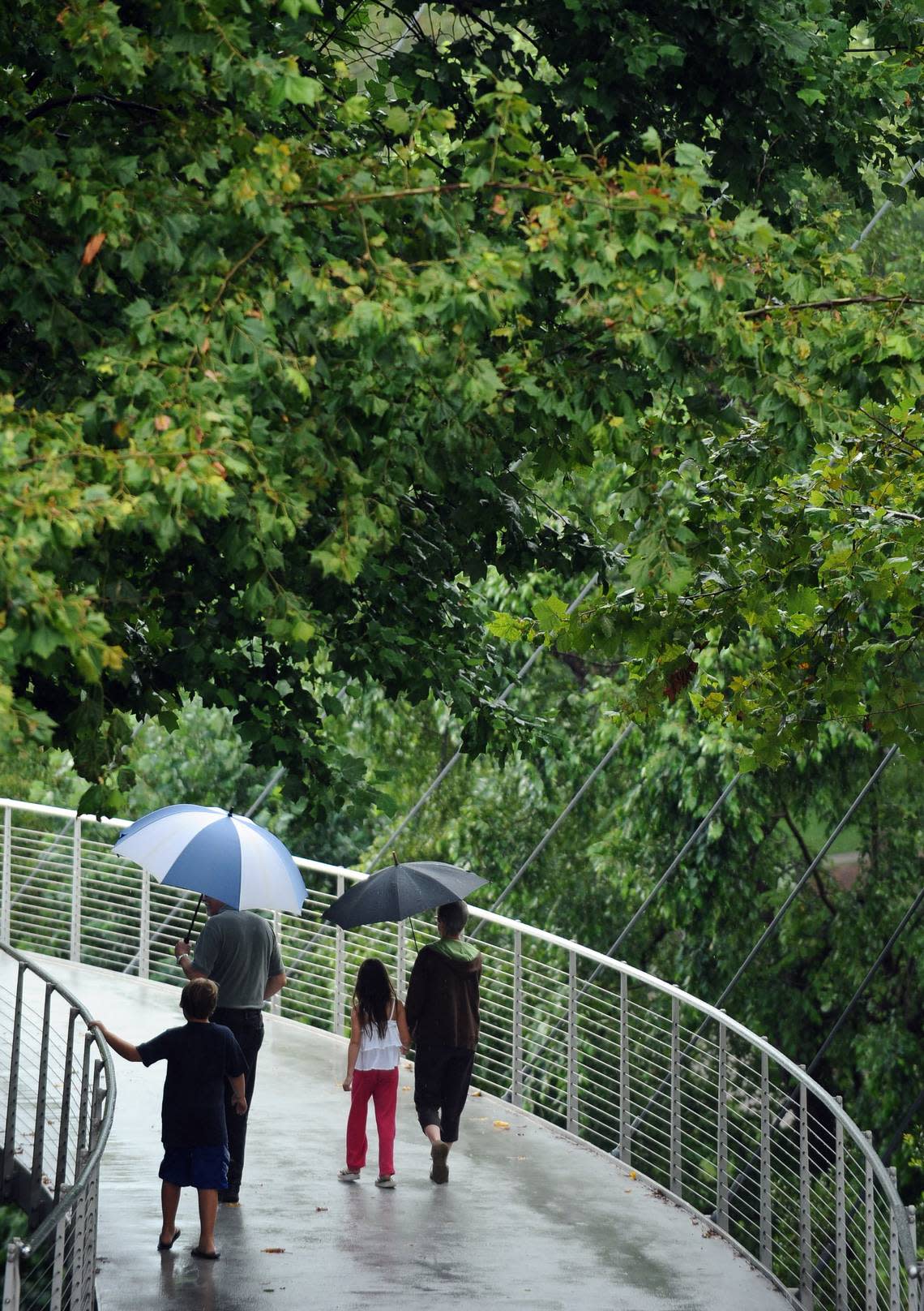 Pedestrians hold umbrellas as they walk across the Reedy River bridge at Falls Park on Thursday, Aug. 1, 2013.