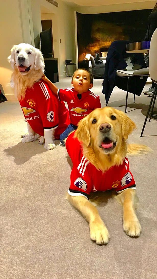 Alexis Sanchez’s dogs dressed in Man United shirts (Image: Instagram)