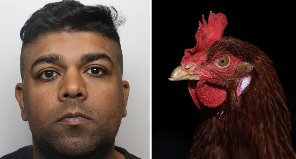 On the left is Rehan Baig. On the right is a stock image of a chicken.