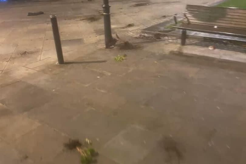 Damage to the gardens in Middleton town centre