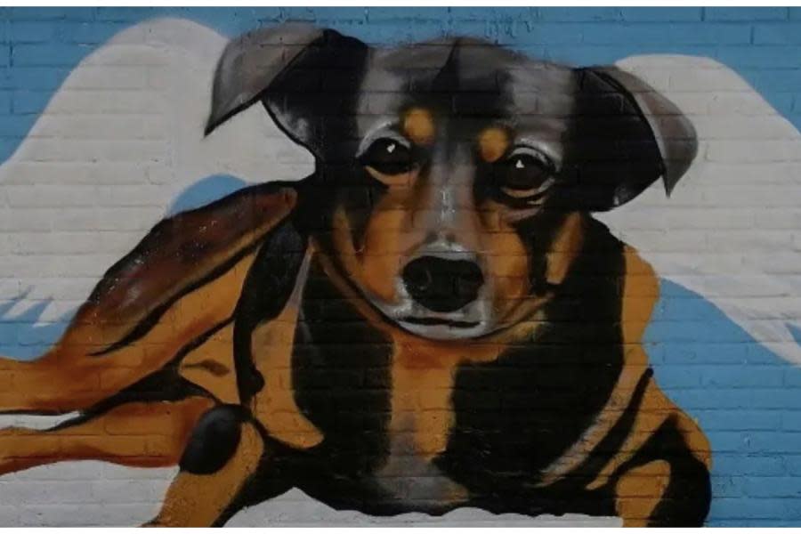 Artista crea mural para honrar a Scooby, el perrito que fue arrojado a un cazo con aceite hirviendo 