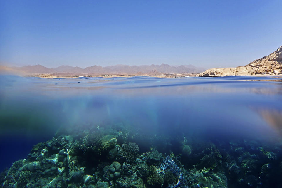 Coral reefs are seen in the Red Sea at Ras Katy Beach in Sharm el-Sheikh, South Sinai, Egypt on Sept. 8, 2022. As this year’s United Nations climate summit approaches, Egypt’s government is touting its efforts to make Sharm el-Sheikh a more eco-friendly tourist destination. (AP Photo/Thomas Hartwell)