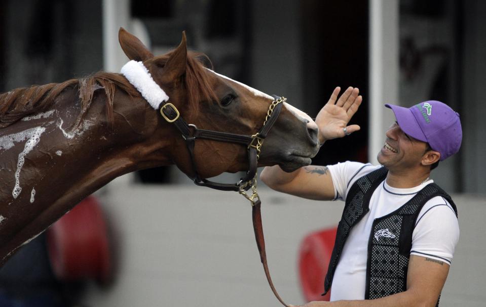 Exercise rider William Delgado plays with Kentucky Derby hopeful California Chrome after a morning workout at Churchill Downs Wednesday, April 30, 2014, in Louisville, Ky. (AP Photo/Garry Jones)