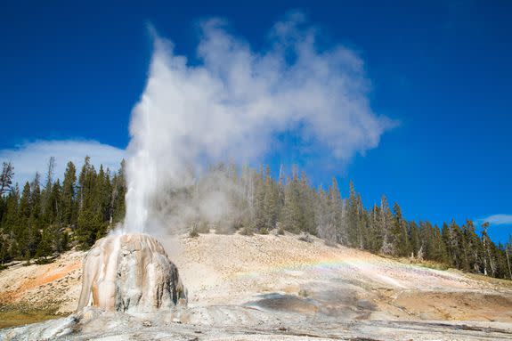 Yellowstone's Lone Star Geyser erupting.