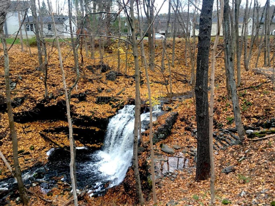 waterfall_tinyhouse