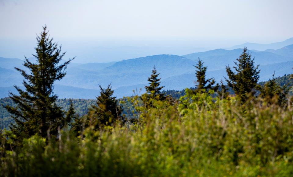 Views from Mount Mitchell Cafe & Eatery, formerly Mount Mitchell State Park Restaurant, on May 31 in Mount Mitchell State Park. The restaurant held its grand opening May 31.