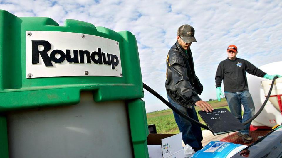 Hombres trabajando con el herbicida de Monsanto. 