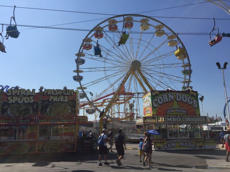 Taking in the sights and sounds of the midway at the CNE. (Tori Floyd)