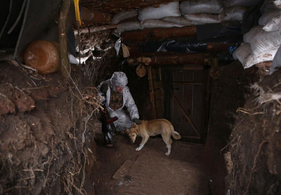 A Ukrainian Military Forces serviceman, caresses a dog in a dugout on the frontline with Russia-backed separatists (AFP via Getty Images)