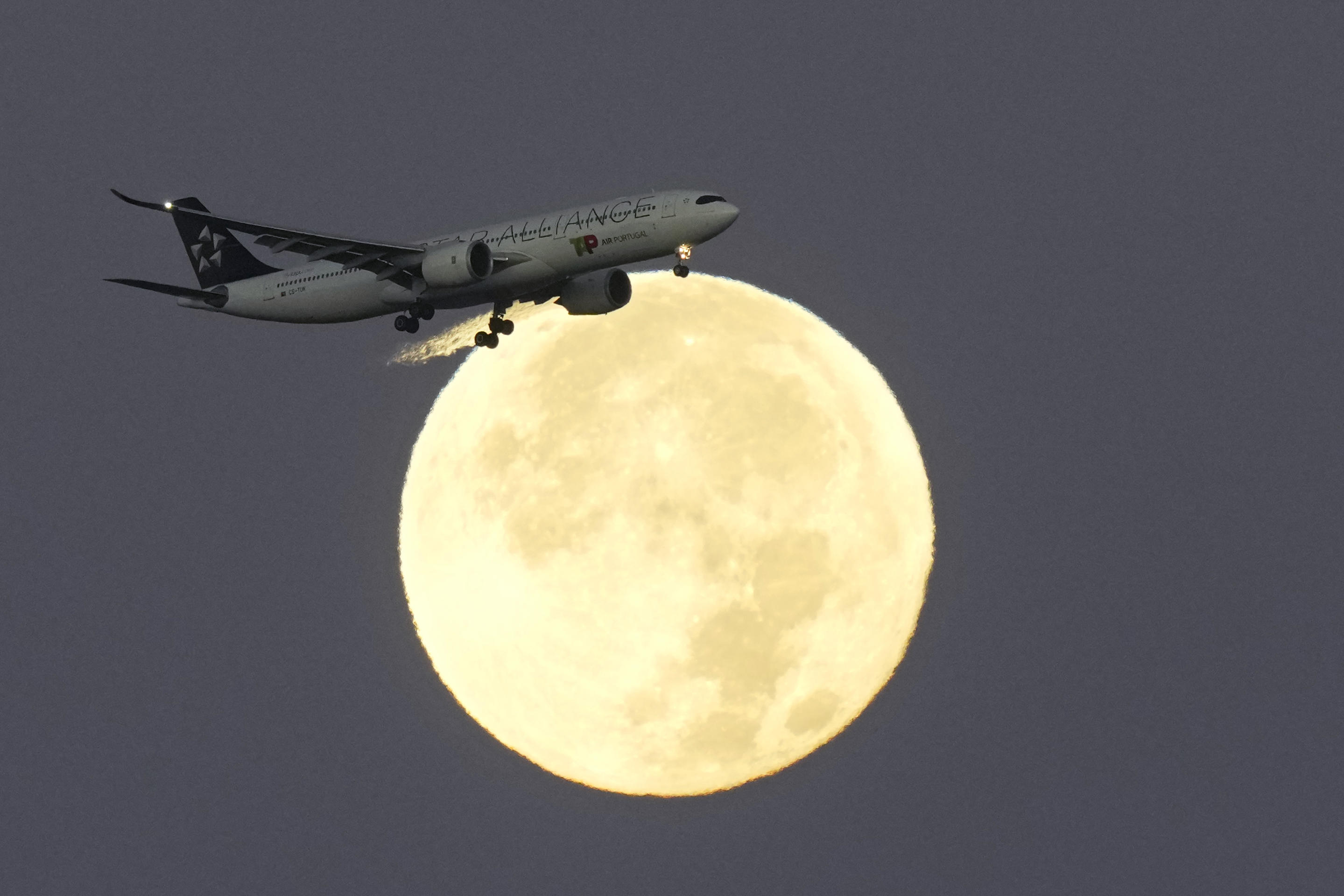 A TAP Air Portugal Airbus A330 in Star Alliance livery approaches for landing in Lisbon at sunrise on Tuesday, August 20, 2024, with a supermoon in the background. (Armando Franca/AP)