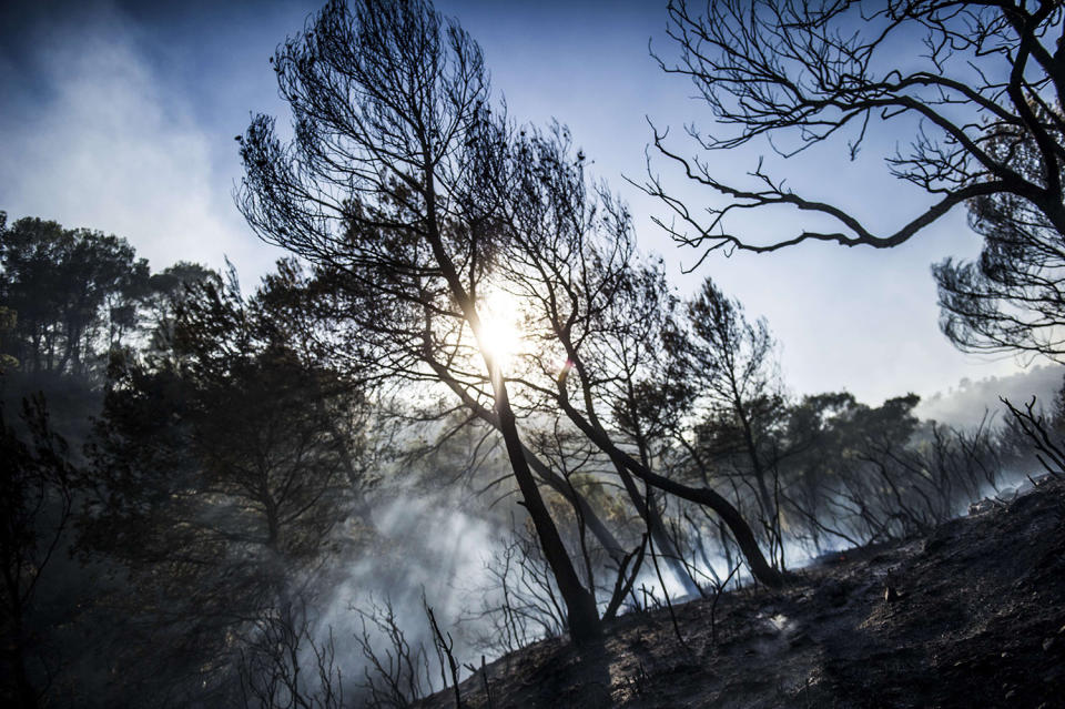 <p>A forest fire in the Luberon has ravaged more than 800 hectares between Pertuis and Mirabeau in the Vaucluse, July 25, 2017. (Lilian Auffret/SIPA/REX/Shutterstock) </p>