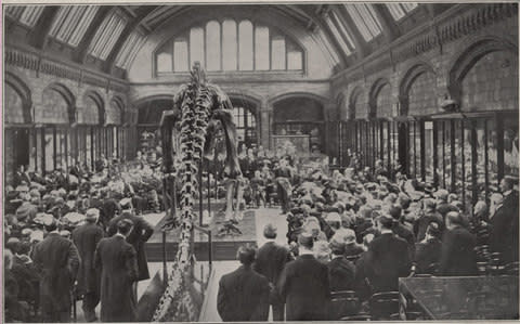 Lord Avebury addressing a crowd at the unveiling of Dippy at the Natural History Museum in 1905  - Credit: NHM