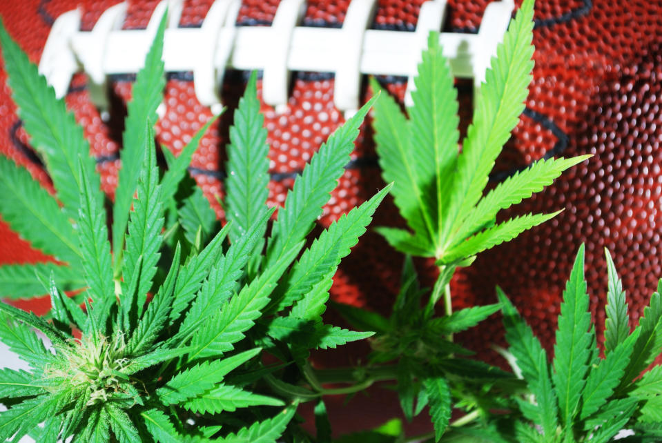 An up-close view of a football next to a cannabis plant.