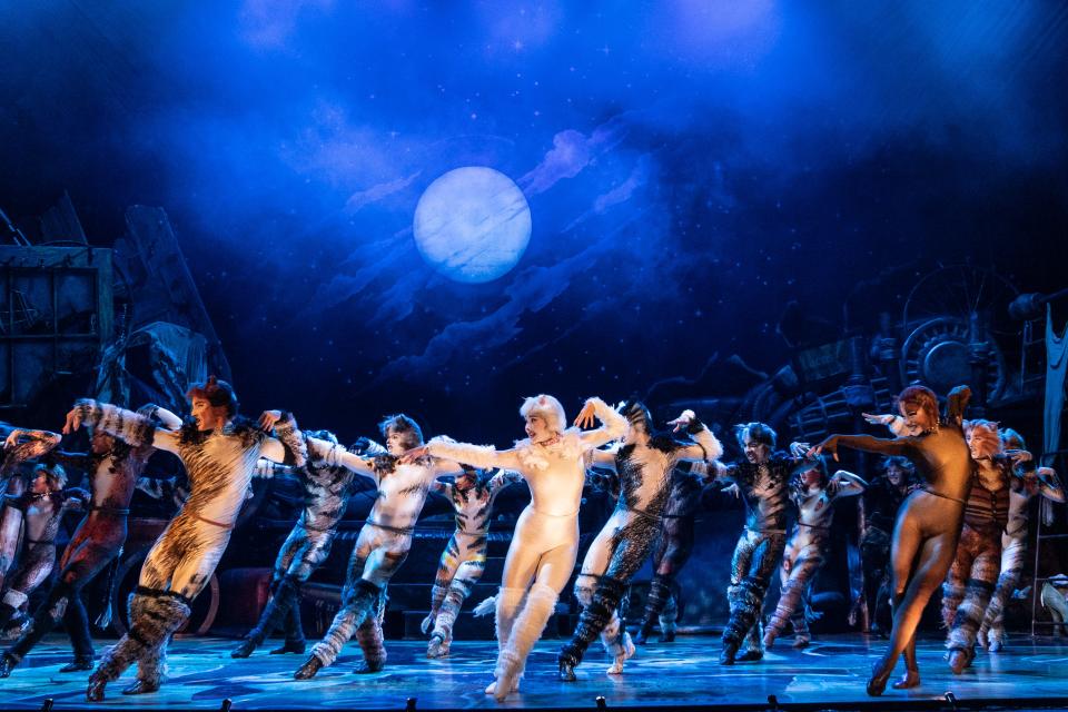 The company of the 2021-2022 national tour of CATS
