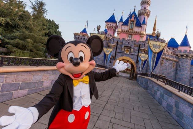 You'll Never Believe What Will Cost You $600 at the Disney Parks