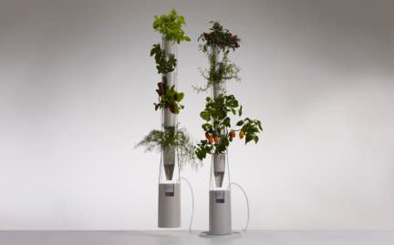 Grow a hydroponic window garden