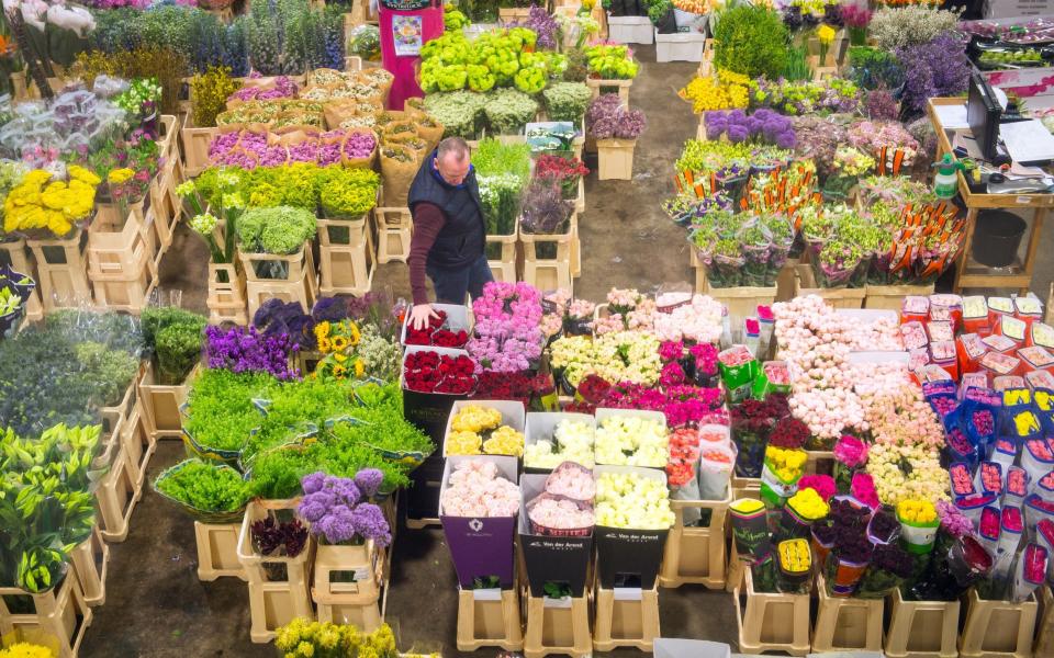 Covent Garden Flower Market - Credit: Dominic Lipinski/PA