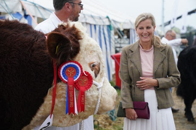 Westmorland County Show