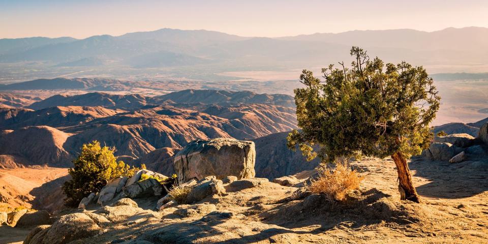 Joshua Tree National Park — California