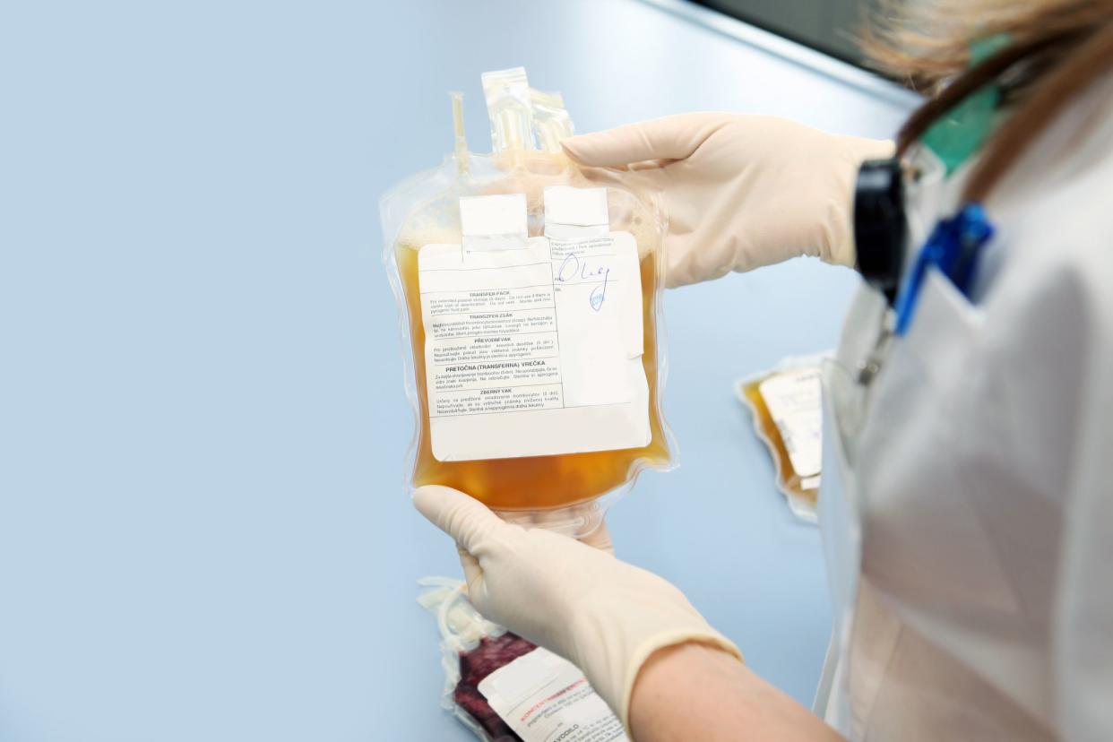 Doctor in a blood bank is holding blood bag  with red blood cells