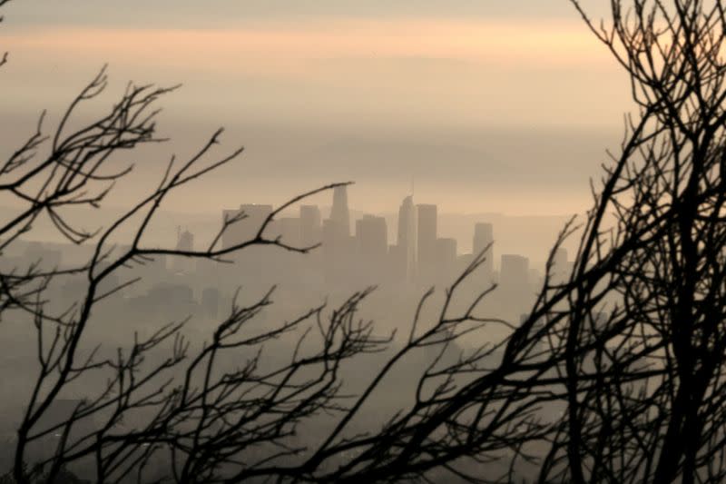 FILE PHOTO: Downtown Los Angeles is seen behind a tree burned by wildfire before expected heavy rains, as the coronavirus disease (COVID-19) continues, in Los Angeles