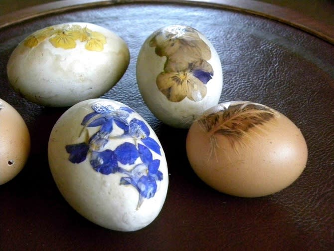 Pressed Flower Eggs