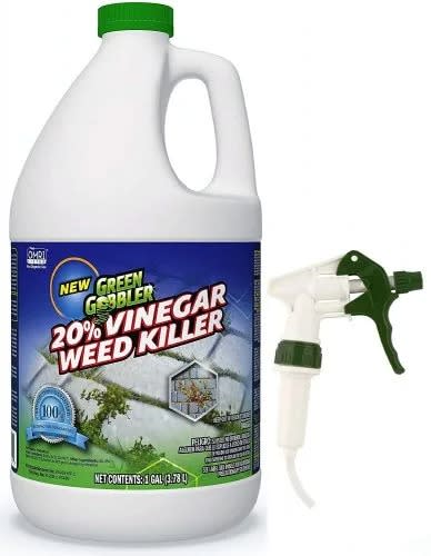 Green Gobbler Vinegar Weed & Grass Killer