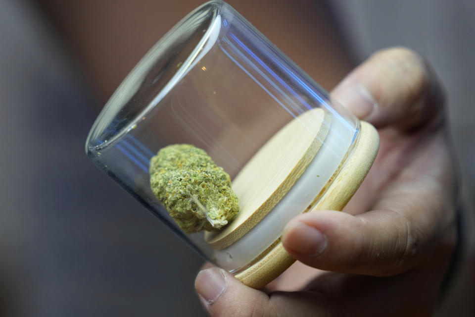 A flower bud of marijuana is displayed at the Highland Cafe in Bangkok, Thailand, Thursday, June 9, 2022. Measures to legalize cannabis became effective Thursday, paving the way for medical and personal use of all parts of cannabis plants, including flowers and seeds. (AP Photo/Sakchai Lalit)