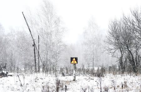 A radiation sign is seen in the 30 km (19 miles) exclusion zone around the Chernobyl nuclear reactor in the abandoned village of Dronki, Belarus, February 11, 2016. REUTERS/Vasily Fedosenko