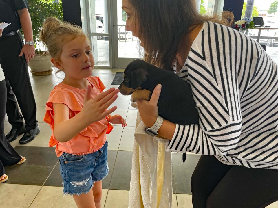 Little Averie Garrett shares a petting session with a cute puppy from the Humane Society of Tennessee Valley, held by Mendee Hopper,  director of People Operations at Mercedez-Benz Knoxville, at the dealership's presentation of $10,000 each to Young-Williams Animal Center and the Humane Society Thursday, July 21, 2022.