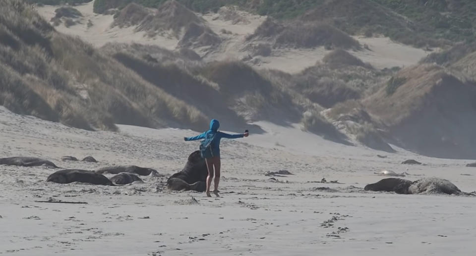 The woman danced and waved her arms at the sea lion