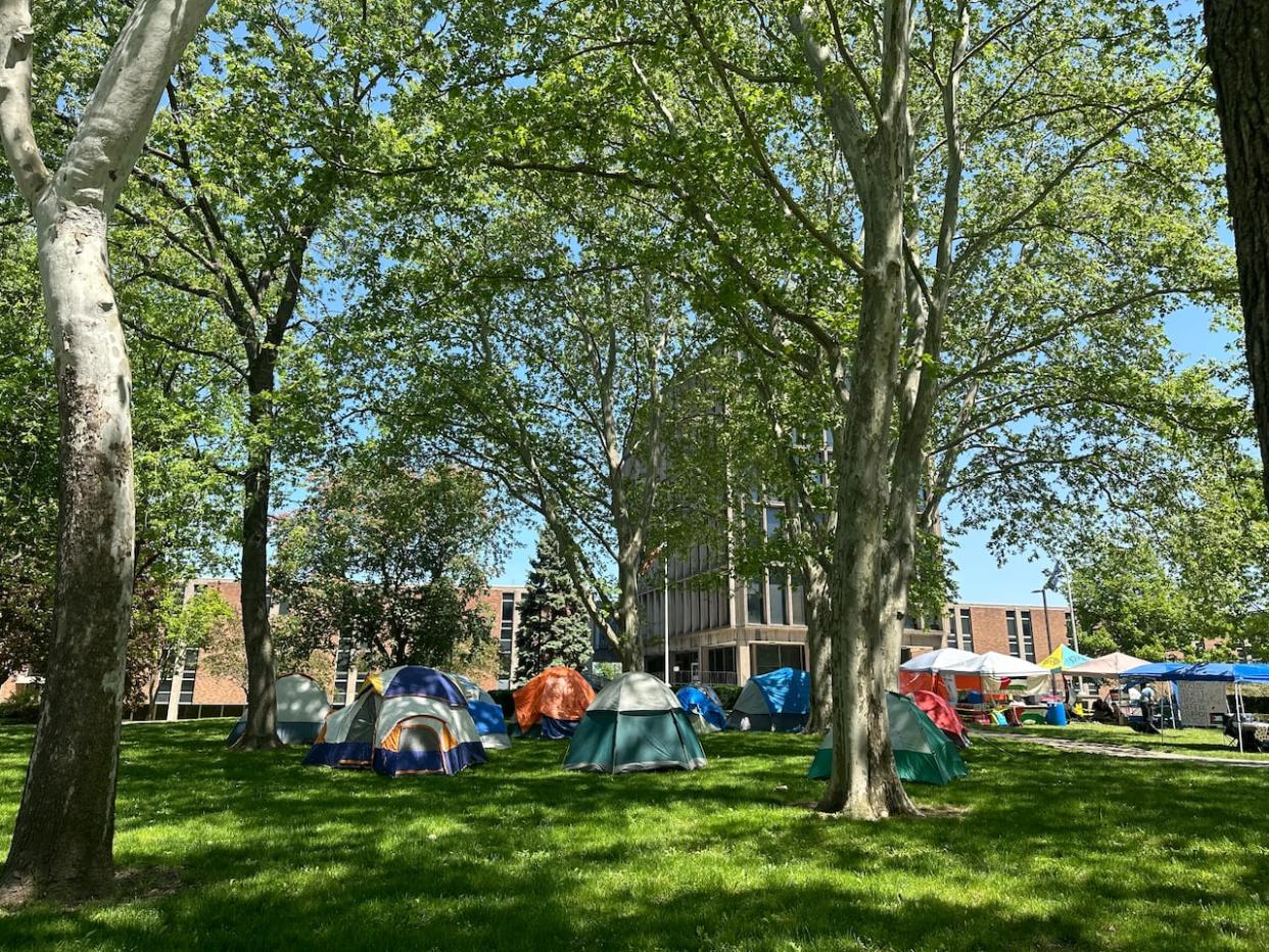 People have established an encampment on the University of Windsor campus. While initially beginning as protests last week, demonstrators began staying overnight last Friday.  (Jennifer La Grassa/CBC - image credit)