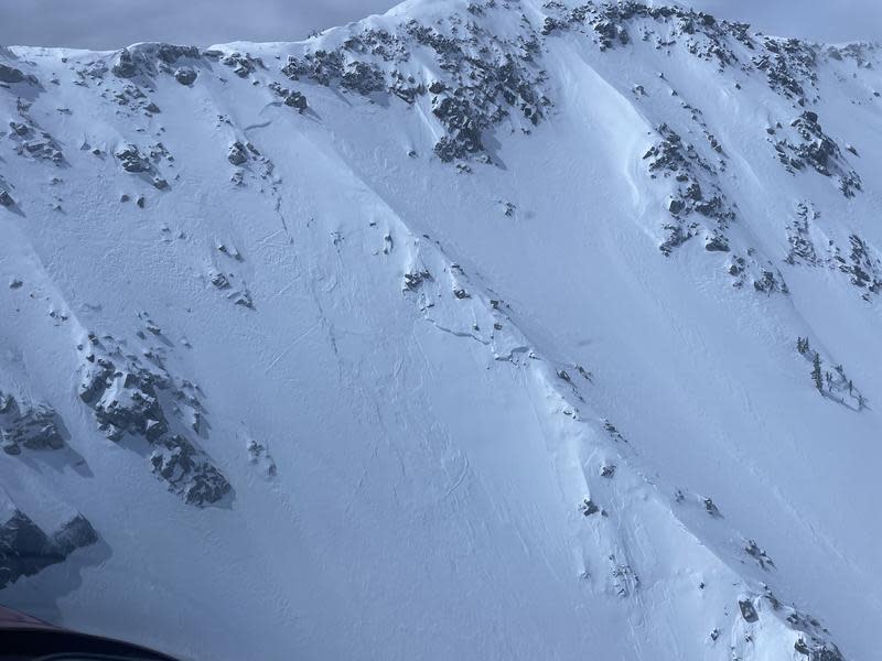 A photograph of where the avalanche occurred on the Big Willow Aprons slope. (credit: Utah Avalanche Center)