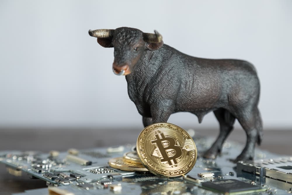 Blockchain pioneer Vinny Lingham has been the last one to get aboard the bitcoin bull market train, but it seems he is finally convinced. | Source: Shutterstock